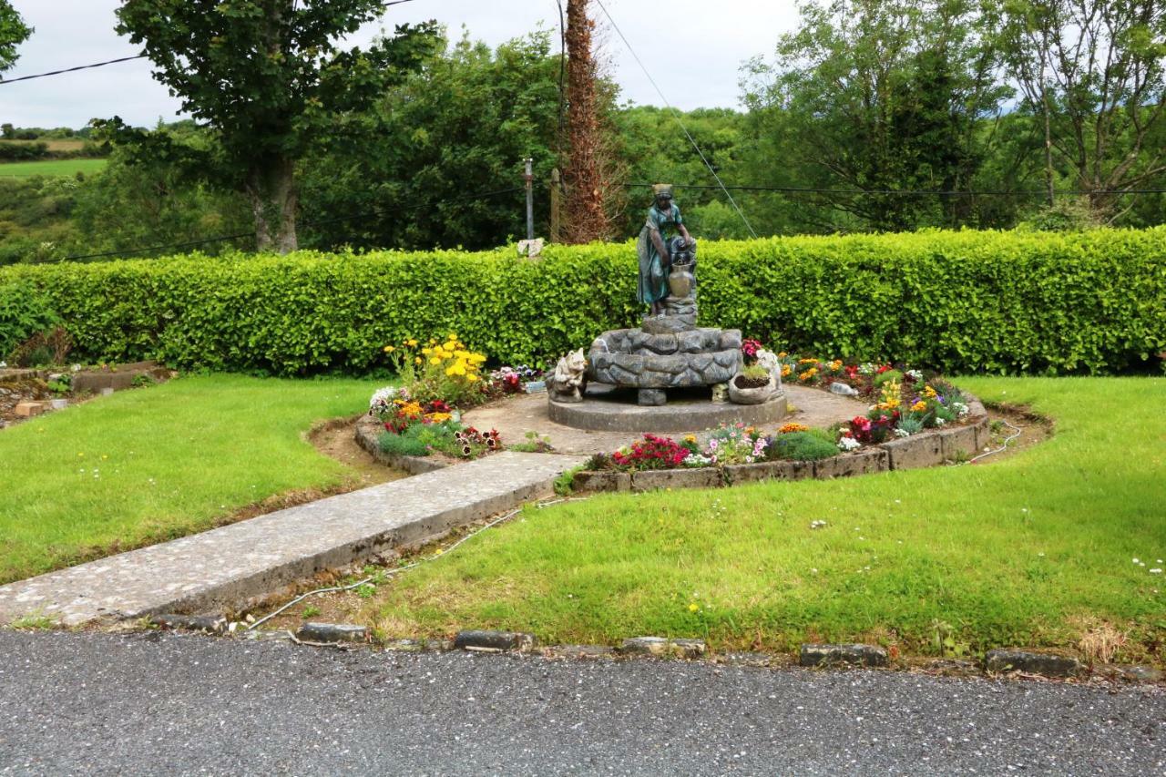 Comeragh View Dungarvan  Dış mekan fotoğraf